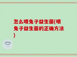 怎么喂兔子益生菌(喂兔子益生菌的正确方法)