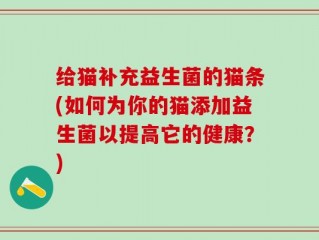 给猫补充益生菌的猫条(如何为你的猫添加益生菌以提高它的健康？)