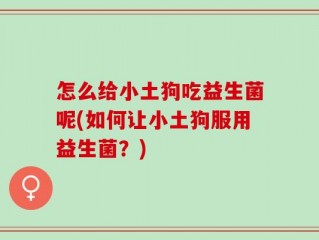 怎么给小土狗吃益生菌呢(如何让小土狗服用益生菌？)