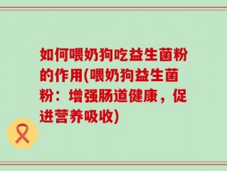如何喂奶狗吃益生菌粉的作用(喂奶狗益生菌粉：增强肠道健康，促进营养吸收)