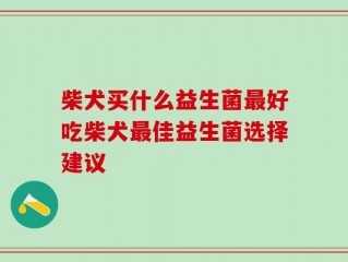 柴犬买什么益生菌最好吃柴犬最佳益生菌选择建议