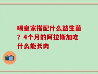 喝皇家搭配什么益生菌？4个月的阿拉斯加吃什么能长肉