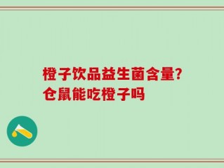 橙子饮品益生菌含量？仓鼠能吃橙子吗