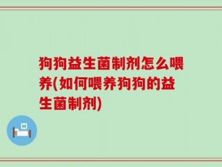 狗狗益生菌制剂怎么喂养(如何喂养狗狗的益生菌制剂)