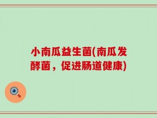 小南瓜益生菌(南瓜发酵菌，促进肠道健康)