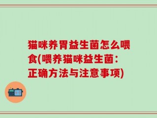 猫咪养胃益生菌怎么喂食(喂养猫咪益生菌：正确方法与注意事项)