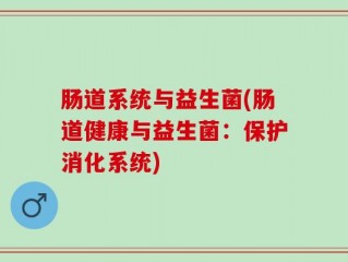 肠道系统与益生菌(肠道健康与益生菌：保护消化系统)