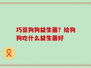 巧豆狗狗益生菌？给狗狗吃什么益生菌好