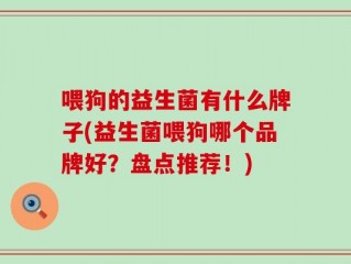 喂狗的益生菌有什么牌子(益生菌喂狗哪个品牌好？盘点推荐！)