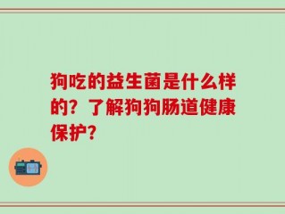 狗吃的益生菌是什么样的？了解狗狗肠道健康保护？