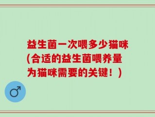 益生菌一次喂多少猫咪(合适的益生菌喂养量为猫咪需要的关键！)
