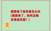 西西来了益生菌怎么吃(西西来了，如何正确食用益生菌？)