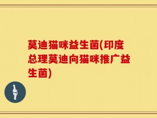 莫迪猫咪益生菌(印度总理莫迪向猫咪推广益生菌)
