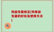 狗益生菌修正(狗用益生菌的好处及使用方法)