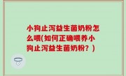 小狗止泻益生菌奶粉怎么喂(如何正确喂养小狗止泻益生菌奶粉？)