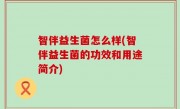 智伴益生菌怎么样(智伴益生菌的功效和用途简介)