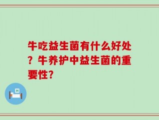 牛吃益生菌有什么好处？牛养护中益生菌的重要性？