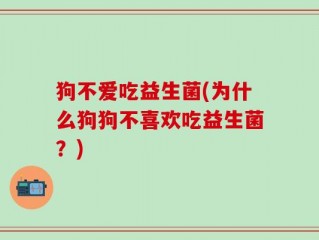 狗不爱吃益生菌(为什么狗狗不喜欢吃益生菌？)