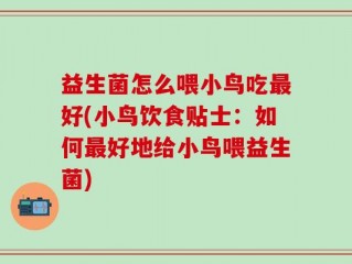益生菌怎么喂小鸟吃最好(小鸟饮食贴士：如何最好地给小鸟喂益生菌)