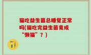 猫吃益生菌总睡觉正常吗(猫吃完益生菌竟成“懒猫”？)