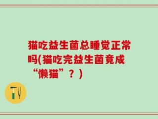 猫吃益生菌总睡觉正常吗(猫吃完益生菌竟成“懒猫”？)