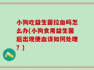 小狗吃益生菌拉血吗怎么办(小狗食用益生菌后出现便血该如何处理？)