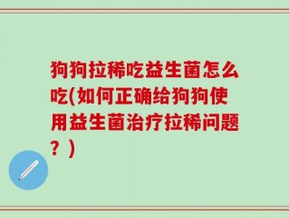 狗狗拉稀吃益生菌怎么吃(如何正确给狗狗使用益生菌治疗拉稀问题？)
