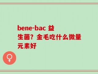 bene-bac 益生菌？金毛吃什么微量元素好