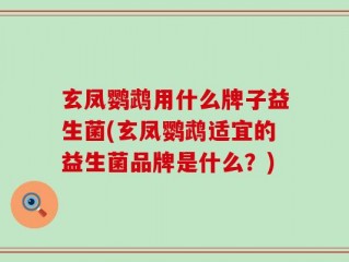 玄凤鹦鹉用什么牌子益生菌(玄凤鹦鹉适宜的益生菌品牌是什么？)