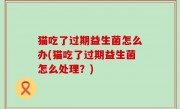 猫吃了过期益生菌怎么办(猫吃了过期益生菌怎么处理？)