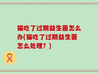 猫吃了过期益生菌怎么办(猫吃了过期益生菌怎么处理？)