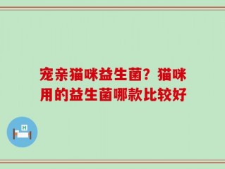 宠亲猫咪益生菌？猫咪用的益生菌哪款比较好