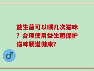 益生菌可以喂几次猫咪？合理使用益生菌保护猫咪肠道健康？