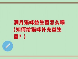 满月猫咪益生菌怎么喂(如何给猫咪补充益生菌？)