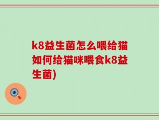 k8益生菌怎么喂给猫如何给猫咪喂食k8益生菌)