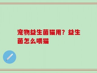 宠物益生菌猫用？益生菌怎么喂猫