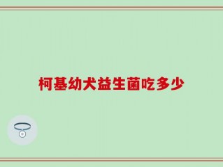 柯基幼犬益生菌吃多少