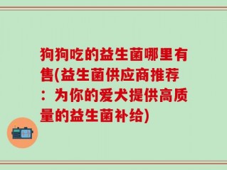 狗狗吃的益生菌哪里有售(益生菌供应商推荐：为你的爱犬提供高质量的益生菌补给)