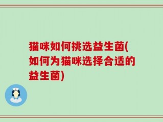 猫咪如何挑选益生菌(如何为猫咪选择合适的益生菌)