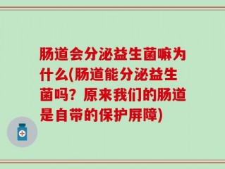 肠道会分泌益生菌嘛为什么(肠道能分泌益生菌吗？原来我们的肠道是自带的保护屏障)