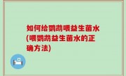 如何给鹦鹉喂益生菌水(喂鹦鹉益生菌水的正确方法)