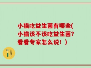 小猫吃益生菌有哪些(小猫该不该吃益生菌？看看专家怎么说！)