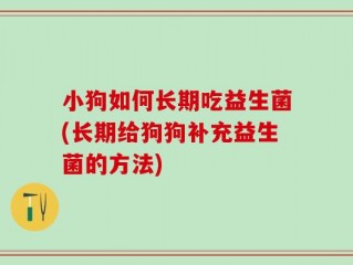 小狗如何长期吃益生菌(长期给狗狗补充益生菌的方法)