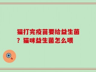 猫打完疫苗要给益生菌？猫咪益生菌怎么喂