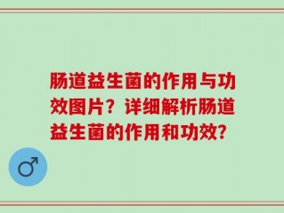 肠道益生菌的作用与功效图片？详细解析肠道益生菌的作用和功效？