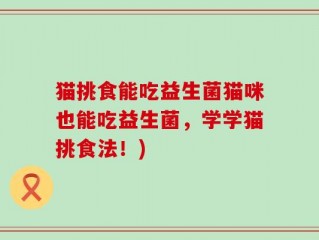 猫挑食能吃益生菌猫咪也能吃益生菌，学学猫挑食法！)
