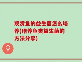 观赏鱼的益生菌怎么培养(培养鱼类益生菌的方法分享)