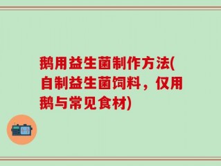 鹅用益生菌制作方法(自制益生菌饲料，仅用鹅与常见食材)