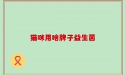猫咪用啥牌子益生菌