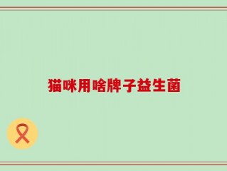 猫咪用啥牌子益生菌